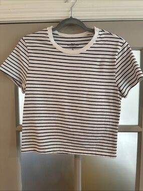 Two Abercrombie Cropped Baby Tees